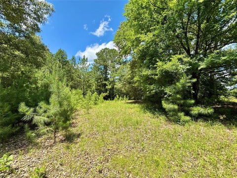 Tiny photo for 5982 Doe Trail, Gilmer, TX 75645 (MLS # 21396915)