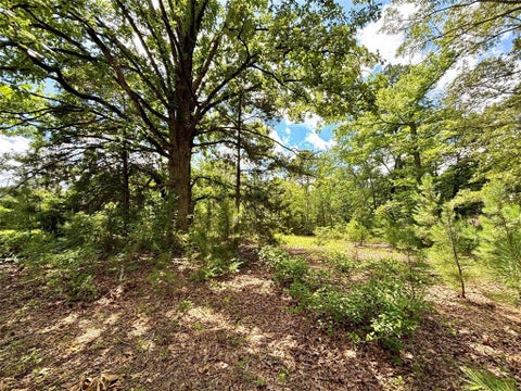 Tiny photo for 5982 Doe Trail, Gilmer, TX 75645 (MLS # 21396915)