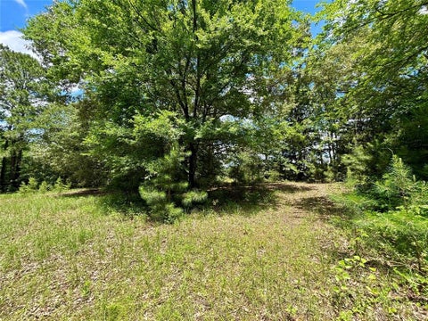 Tiny photo for 5982 Doe Trail, Gilmer, TX 75645 (MLS # 21396915)