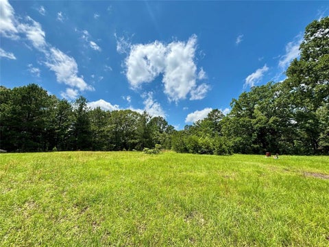 Tiny photo for 5982 Doe Trail, Gilmer, TX 75645 (MLS # 21396915)