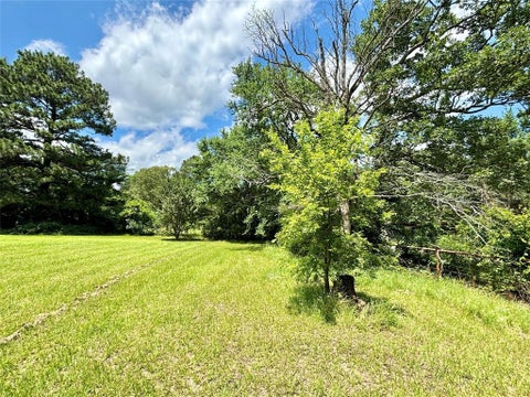 Tiny photo for 5982 Doe Trail, Gilmer, TX 75645 (MLS # 21396915)