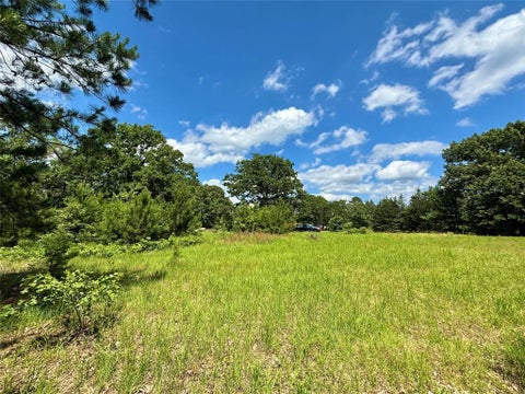 Tiny photo for 5982 Doe Trail, Gilmer, TX 75645 (MLS # 21396915)