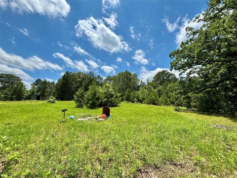 Tiny photo for 5982 Doe Trail, Gilmer, TX 75645 (MLS # 21396915)