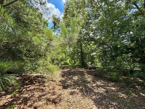 Tiny photo for 5982 Doe Trail, Gilmer, TX 75645 (MLS # 21396915)