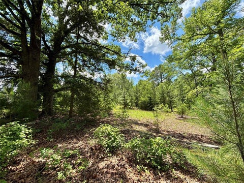 Tiny photo for 5982 Doe Trail, Gilmer, TX 75645 (MLS # 21396915)