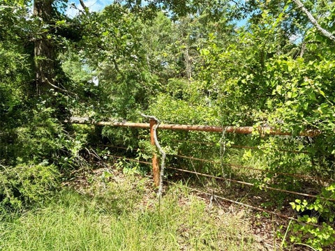 Tiny photo for 5982 Doe Trail, Gilmer, TX 75645 (MLS # 21396915)