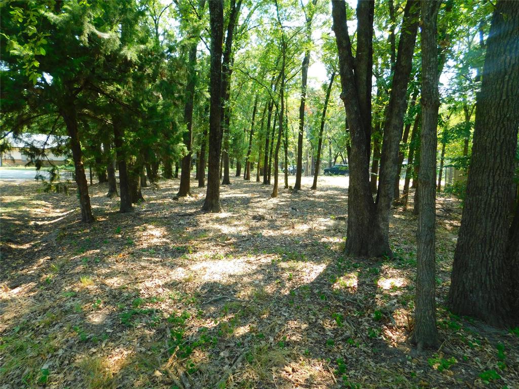 Hickory Hollow Add - Land