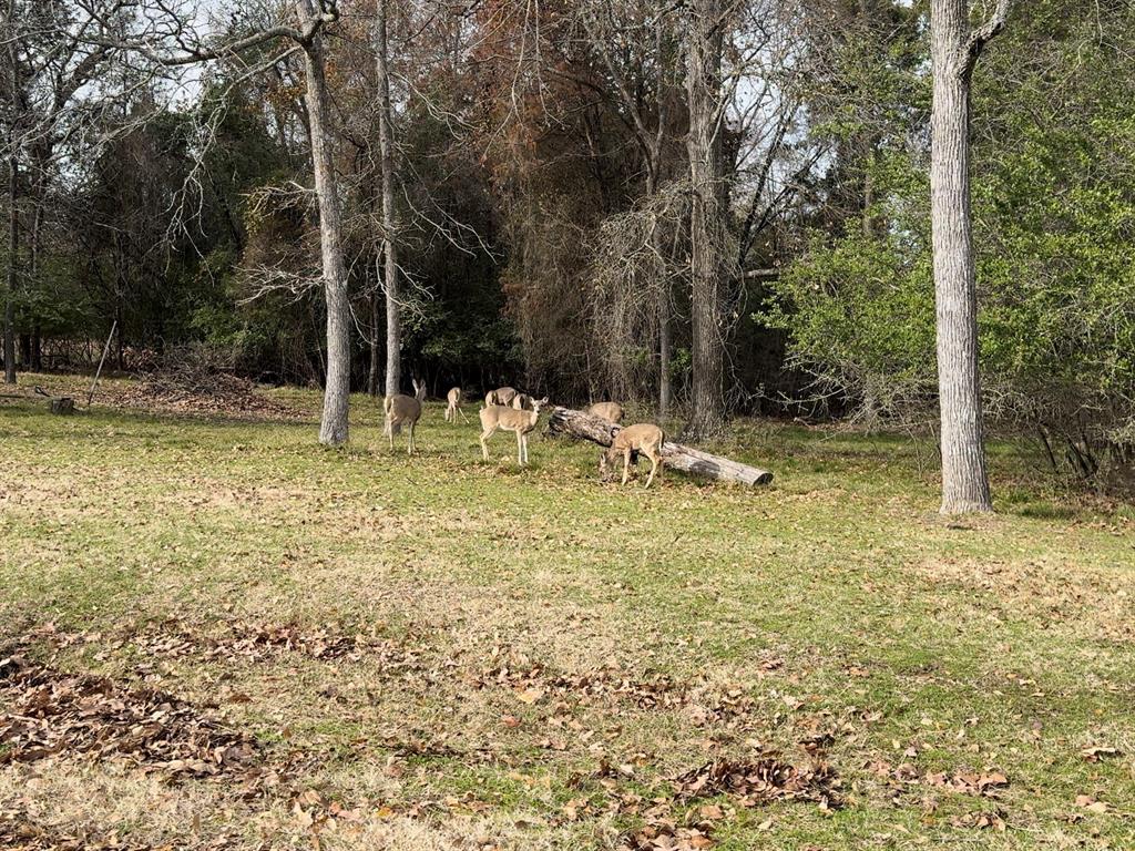 Carolynn Estates - Land