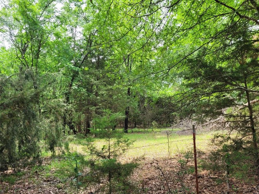 Beautiful wooded 6 acres about 11 miles north of Clarksville, TX in Red River County.  Appears to be fenced with neighbor's barbwire fences.  Very good oil and screen (oil top county road) all year round road.  Ready to be used as a country escape, recreational property or move to this beautiful part of Texas and build your country home!  It is about 11 miles to city of Clarksville which is the county seat.  About 40 miles to Paris, about 75 miles to Texarkana, TX, 60 miles to Mt. Pleasant, and 34 miles to Idabel, OK.  Ready for your piece of land in the country - come see!!