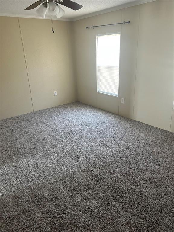 5290 County Road 3229