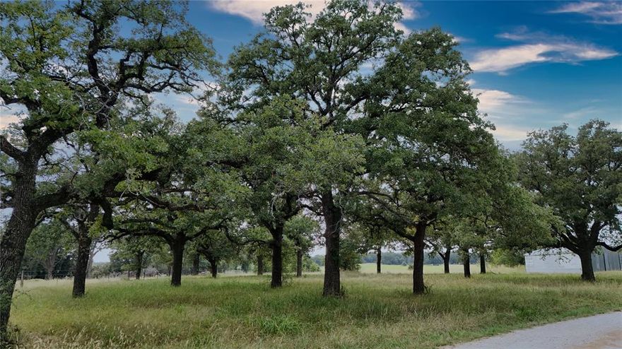 Discover this rare 30-acre property located just off Zion Hill Road in the highly sought-after Peaster ISD. Offering the perfect blend of privacy and functionality, the land features 20 acres of well-established Coastal Bermuda, ideal for livestock or hay production, and is accented with beautiful Post Oak motts. The property is fully fenced with an electric gate, has a dependable water well in place, and power already on site—making it ready for your next home, ranch, or recreational retreat. Multiple storage barns and a large equipment lean-to provide plenty of space for tools, vehicles, and agricultural needs. A scenic pond and abundant wildlife add to the property’s appeal, making it perfect for both ranching and outdoor enjoyment. Currently Ag Exempt, the land offers low carrying costs and great potential.
Hay production 2025 1st cutting 68 rounds, 2nd cutting 55 rounds

This property combines wide-open usability with the tranquility of a secluded setting, creating a rare opportunity to enjoy peaceful country living just minutes from town.