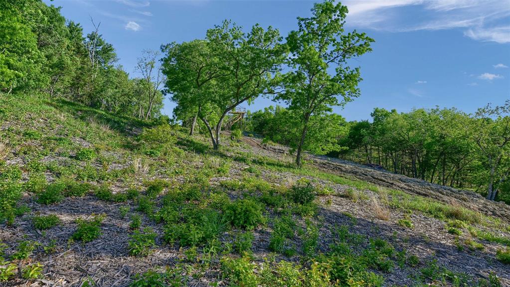 Thompson Heights - Land