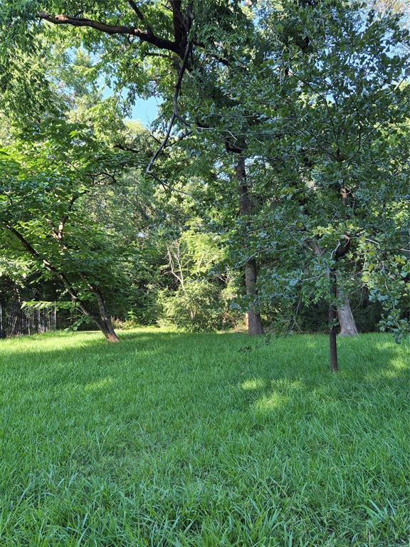 1633 Mockingbird Lane