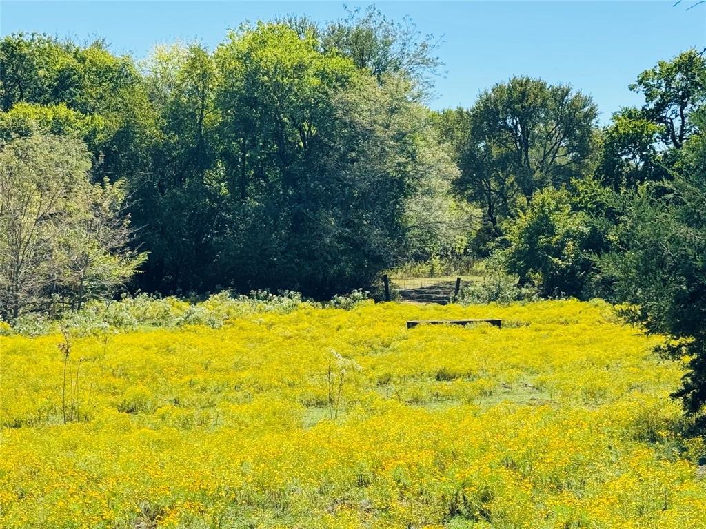 TBD County road 3045