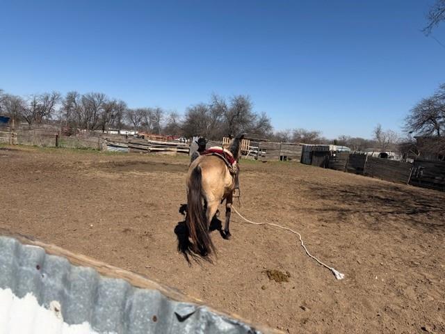 Home Acres Add - Land