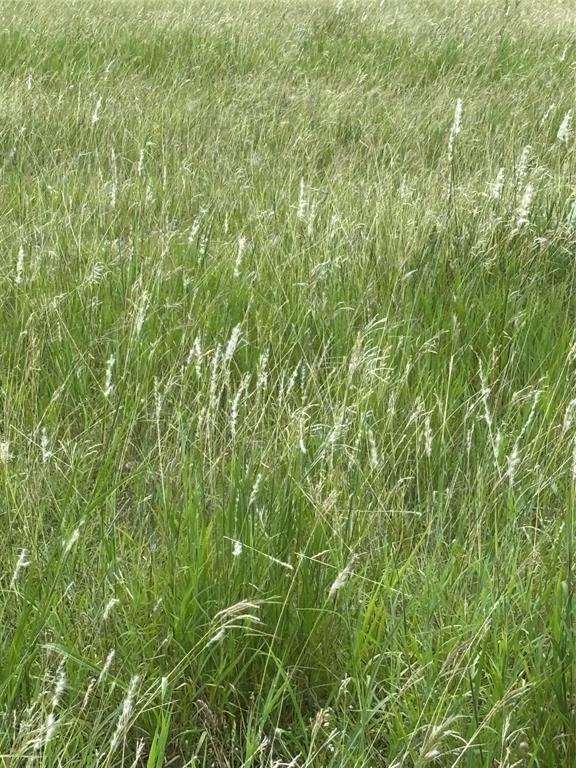 Lot 7 Chisholm Trail