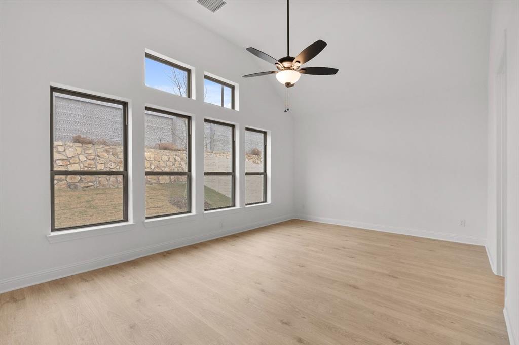 Painted Tree - Residential