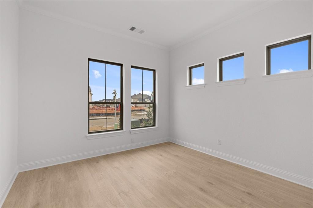 Painted Tree - Residential