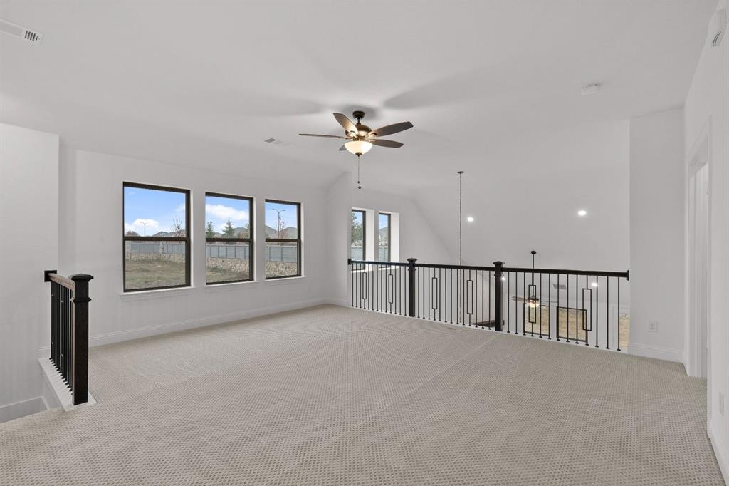 Painted Tree - Residential