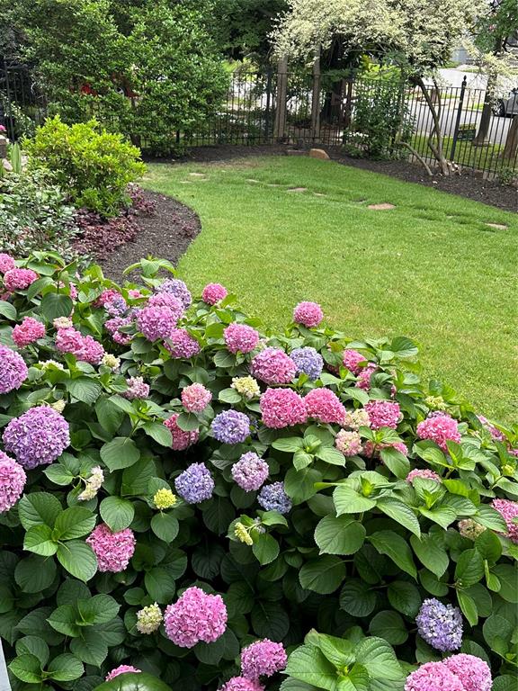 Shreveport, Louisiana 71104, United States, 4 Bedrooms Bedrooms, ,4 BathroomsBathrooms,Residential,Pending,20974