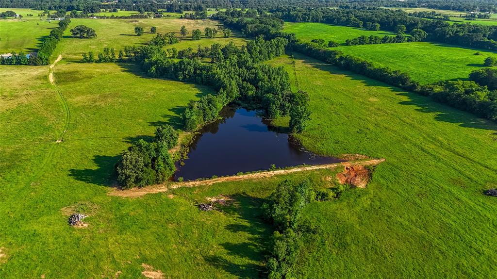 Timothy Anderson Surv Abs #002 - Land