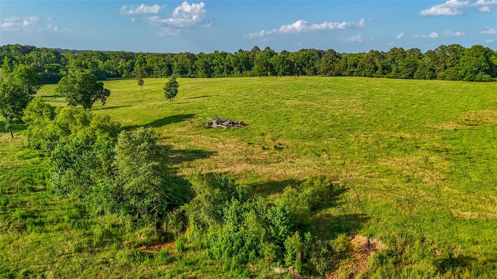 Timothy Anderson Surv Abs #002 - Land