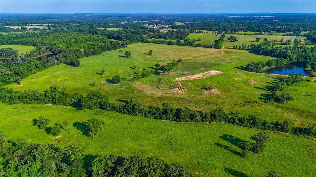 Timothy Anderson Surv Abs #002 - Land