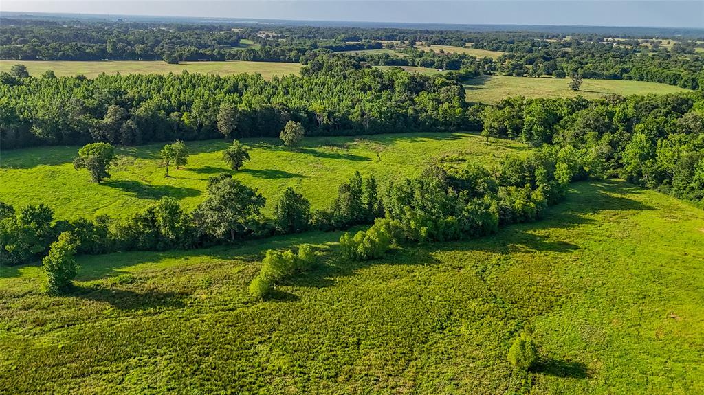 Timothy Anderson Surv Abs #002 - Land