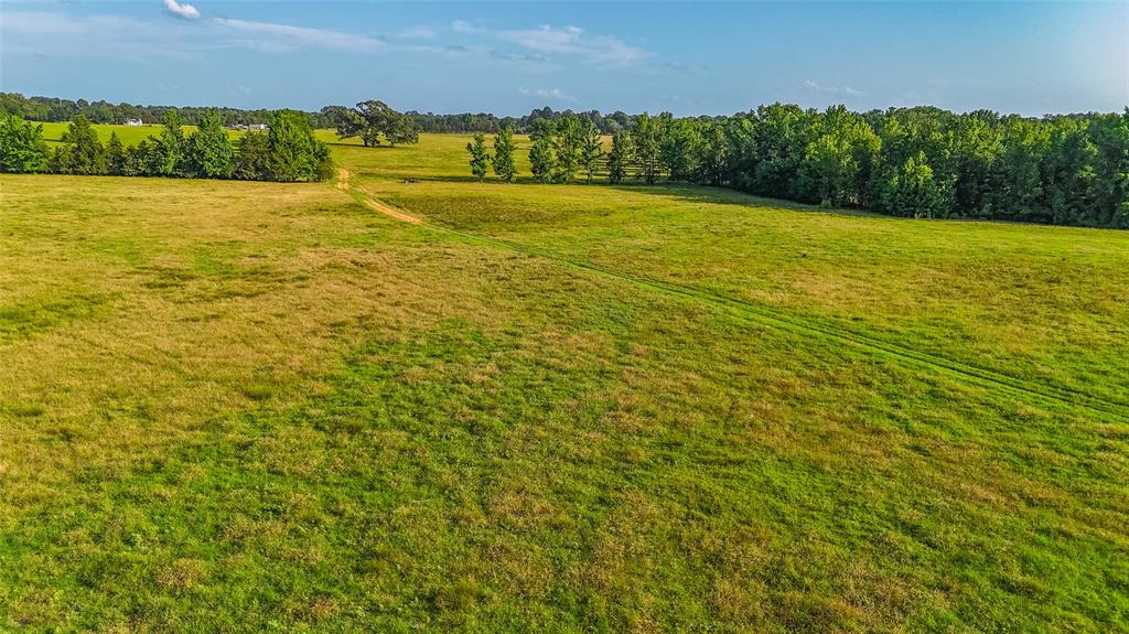 Timothy Anderson Surv Abs #002 - Land