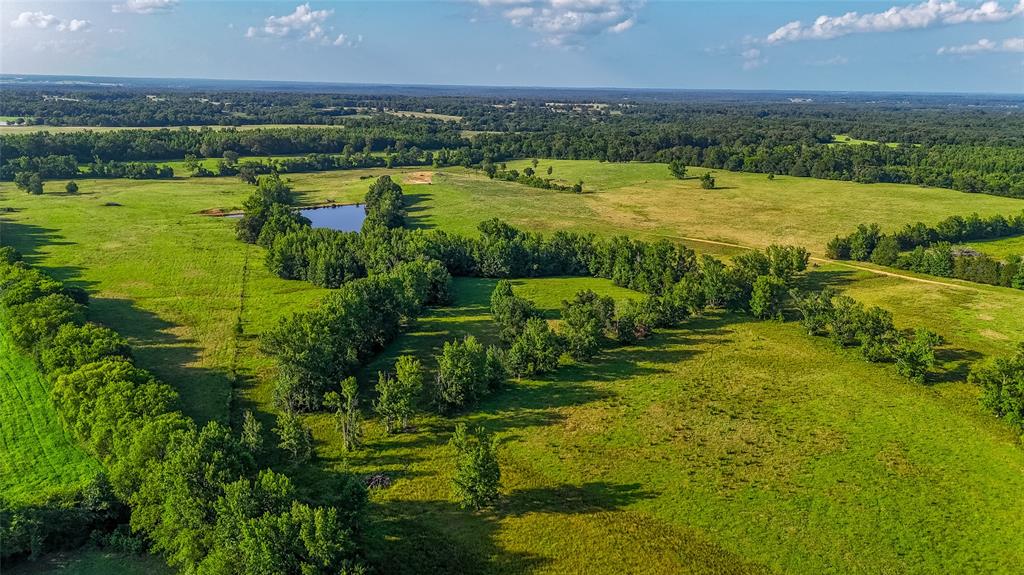 Timothy Anderson Surv Abs #002 - Land