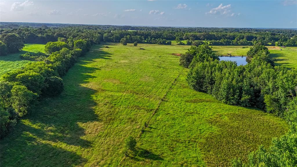 Timothy Anderson Surv Abs #002 - Land