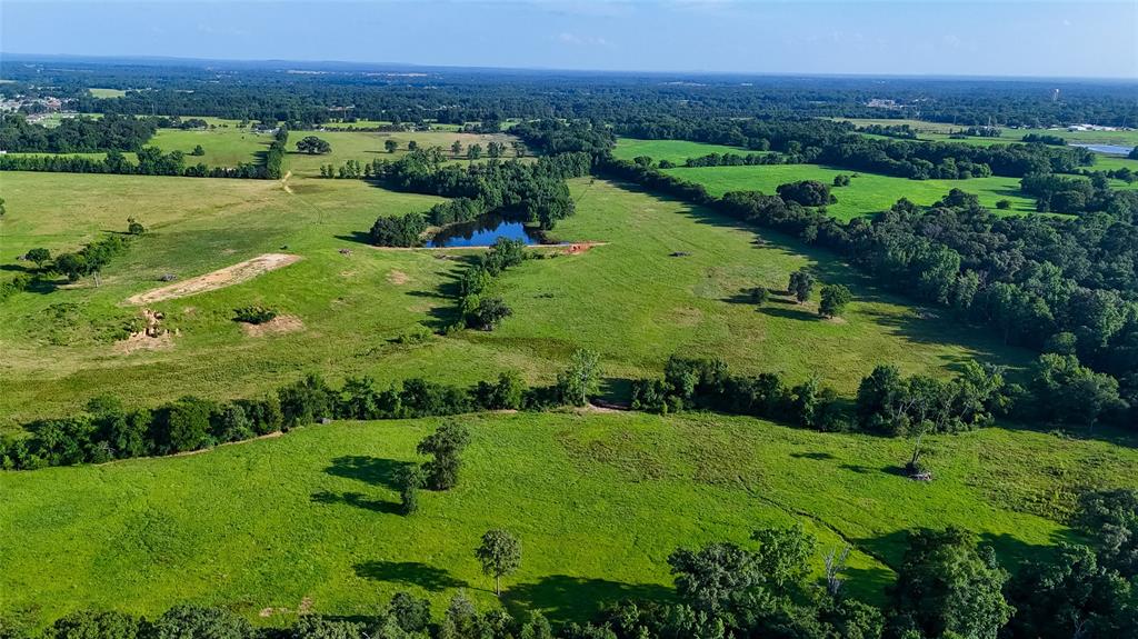 Timothy Anderson Surv Abs #002 - Land