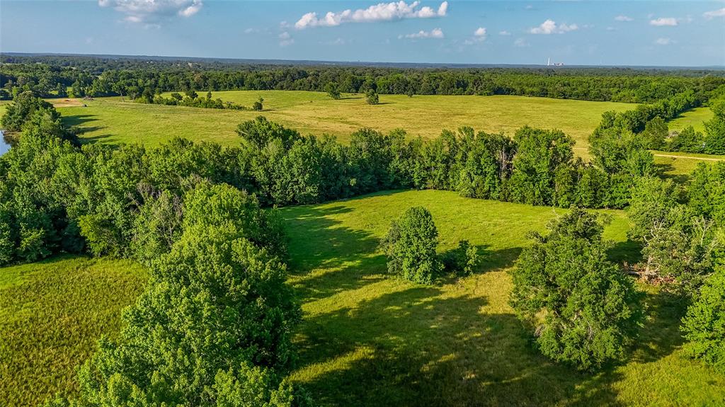 Timothy Anderson Surv Abs #002 - Land