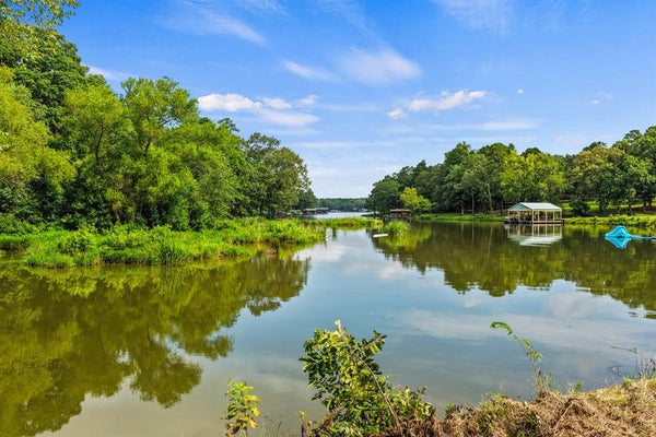 133 SANDY LAKE RD, SCROGGINS, TX 75480 - Image 2cdf5bc8069019db07461142a2cecc19/3952363986