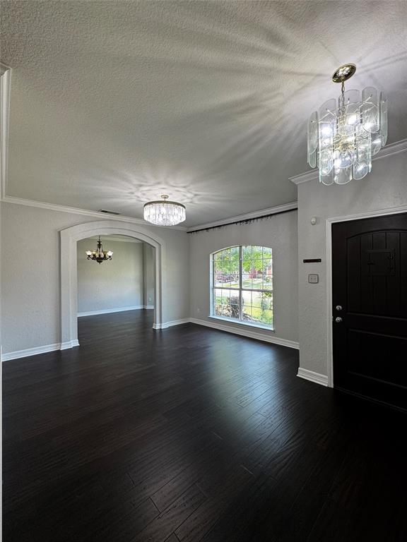 1519 Snow Trail