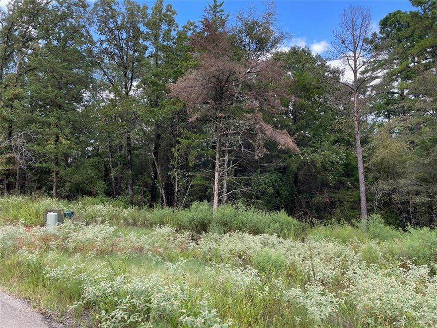 Welcome to the beautiful Cedarwood Place subdivision, in Lindale Texas! Now is your chance to purchase a nice piece of land to build your future home here. Just a short distance to town, all the shopping and dining Lindale has to offer. Just a short drive to I20 for easy access to Dallas, or Shreveport. Multiple lots available! Call today!