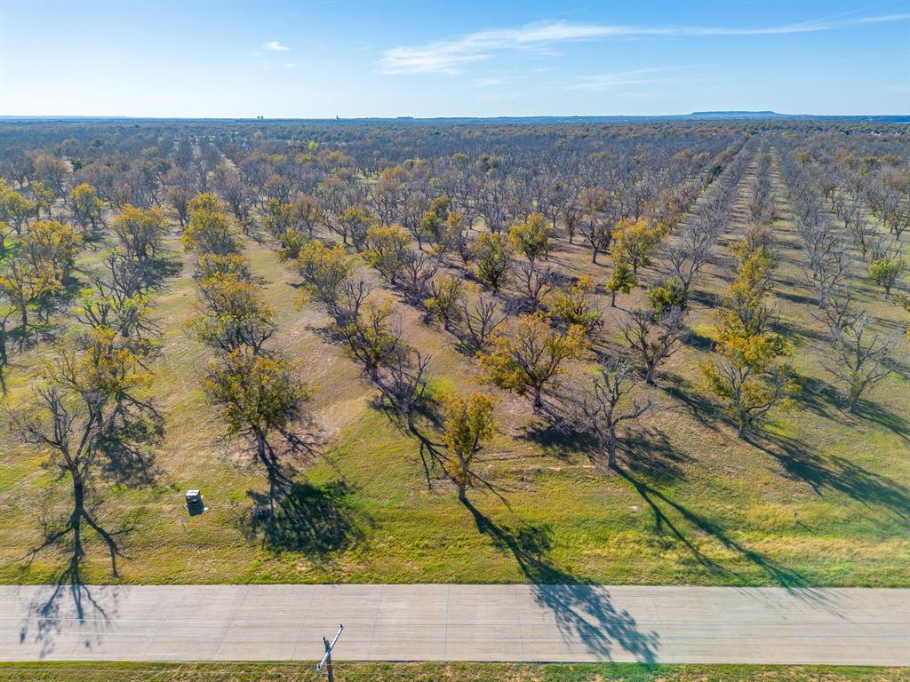 Pecan Plantation - Land