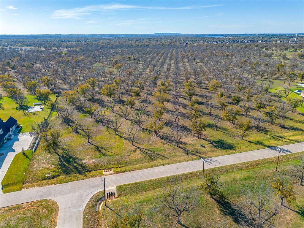 Pecan Plantation - Land