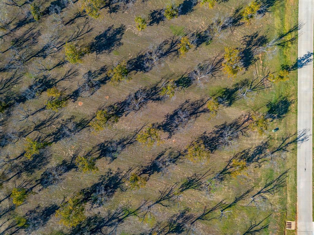 Pecan Plantation - Land