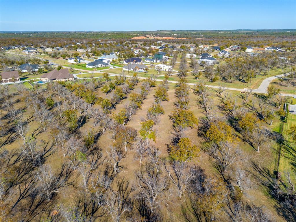 Pecan Plantation - Land