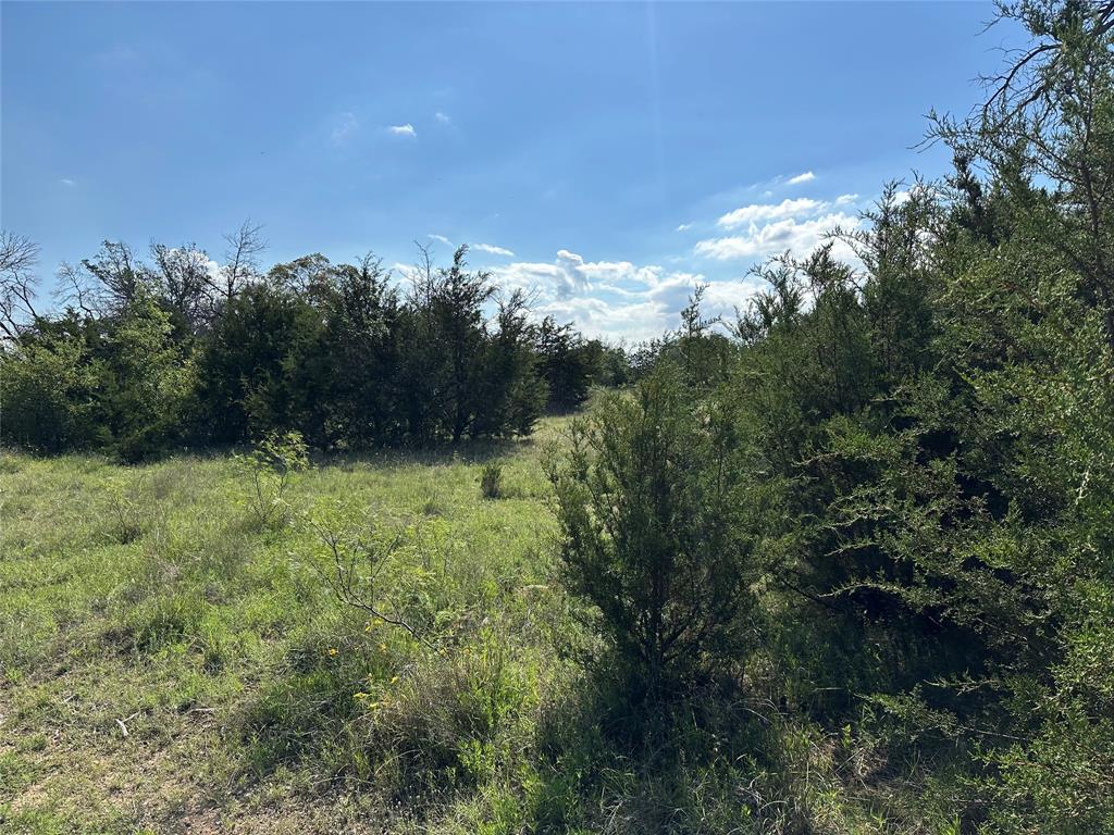 TBD County Road 291