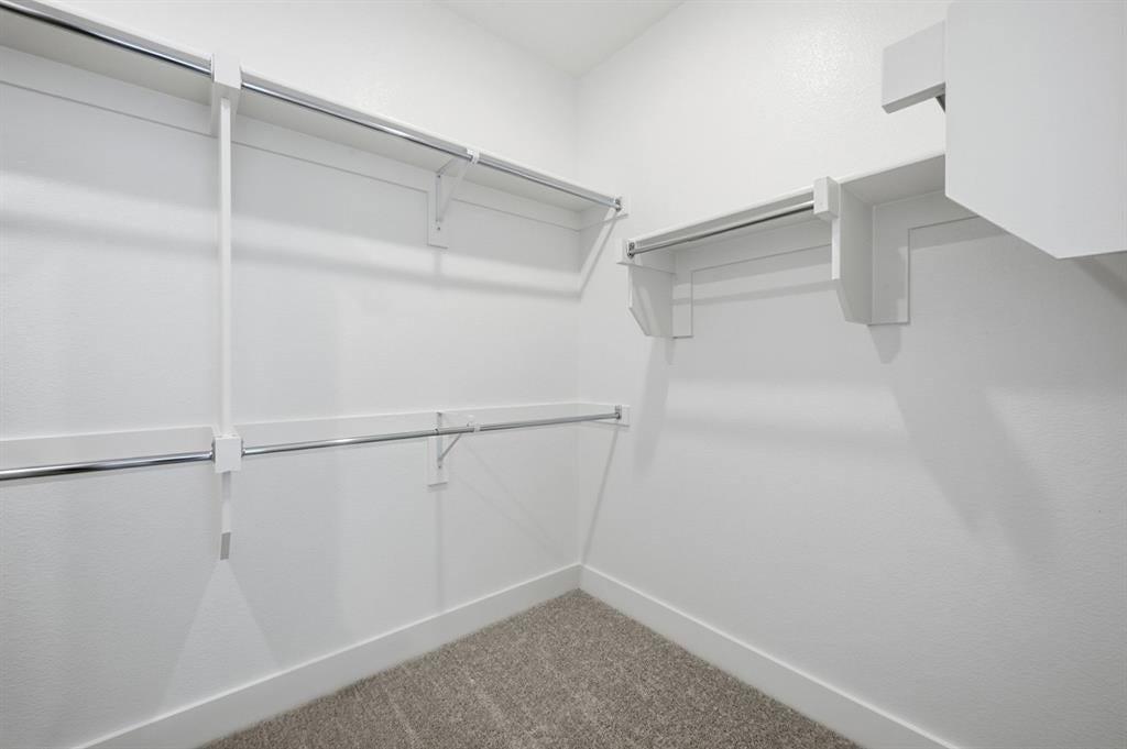 3928 Infinity Lane