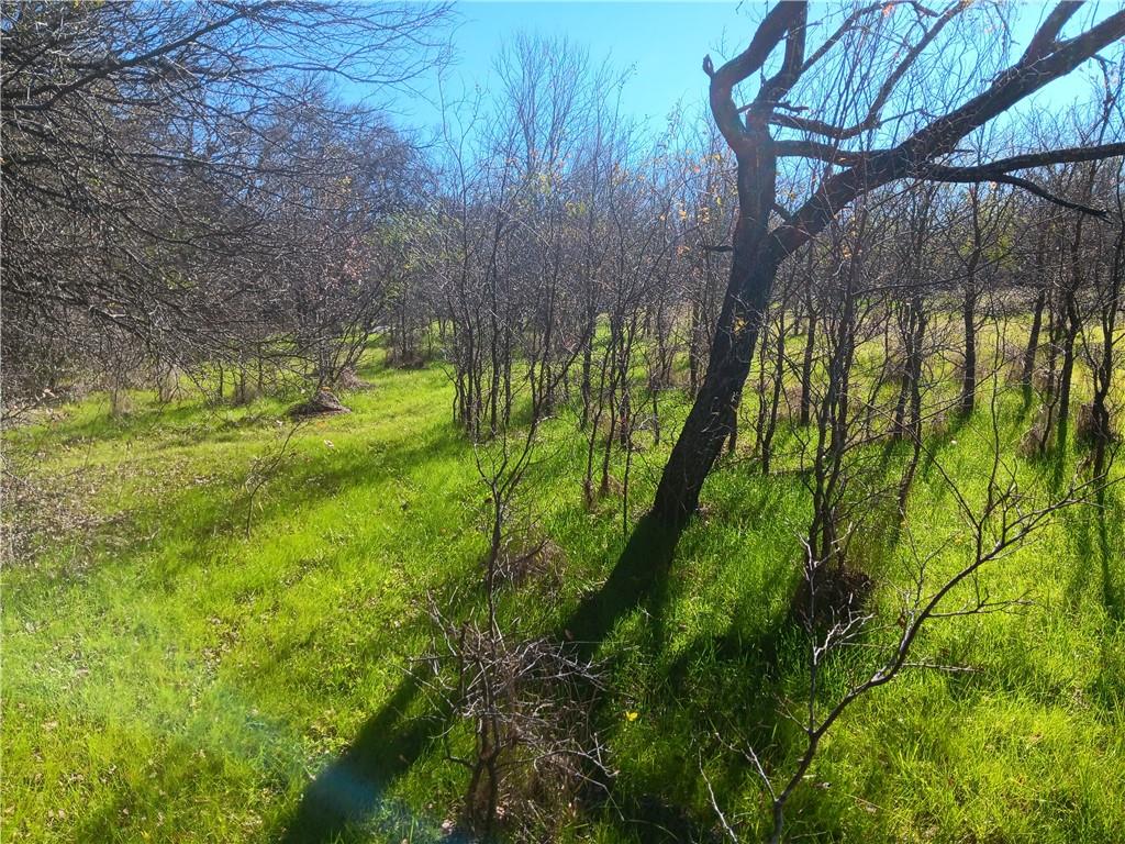 Chambers-Laserda - Land