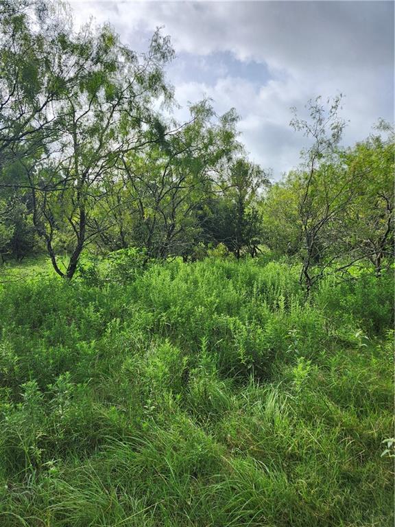 Chambers-Laserda - Land