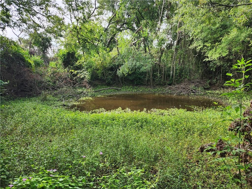 Chambers-Laserda - Land