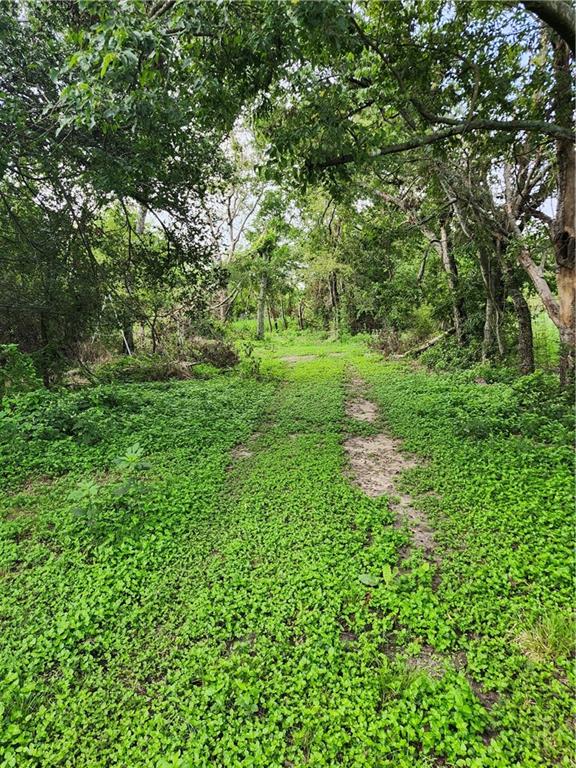 Chambers-Laserda - Land