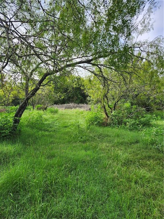 Chambers-Laserda - Land