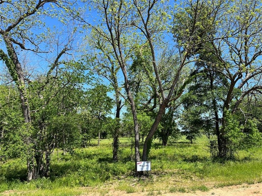 345 WILDFLOWER WAY, DODD CITY, TX 75438 - Image 2d16fa5d082b8c62320ce397313ed7e4/2922729551