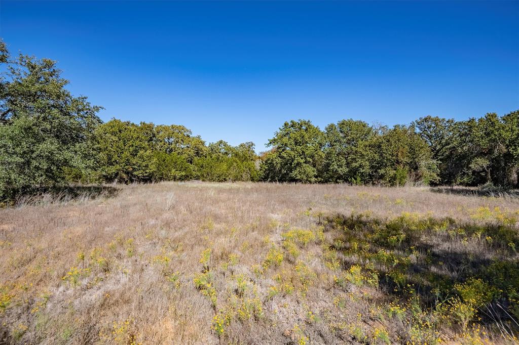 Whiskey Shadows - Land