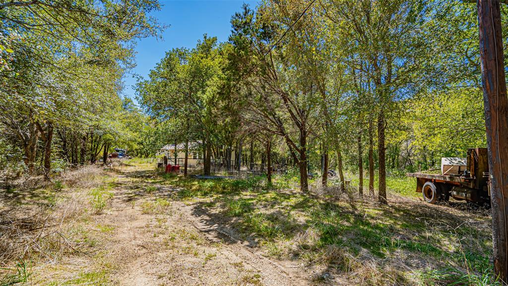 Bluebonnet Hills - Land